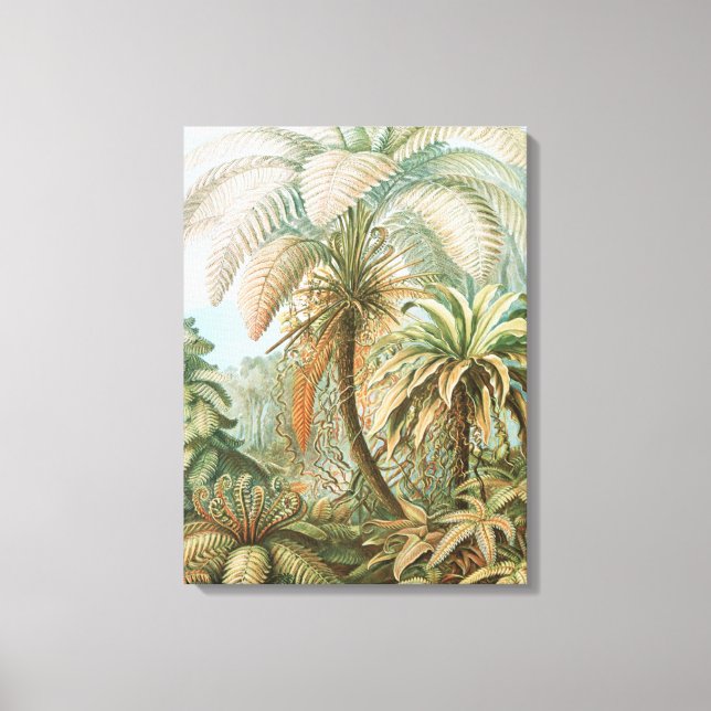 Lienzo Fernés, Filicinae Laubfarne por Ernst Haeckel (Anverso)