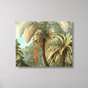 Lienzo Ferns Palm Tree Antique Botanica Ferns Art