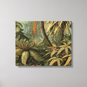 Lienzo Ferns Palm Tree Antique Botanica Ferns Art