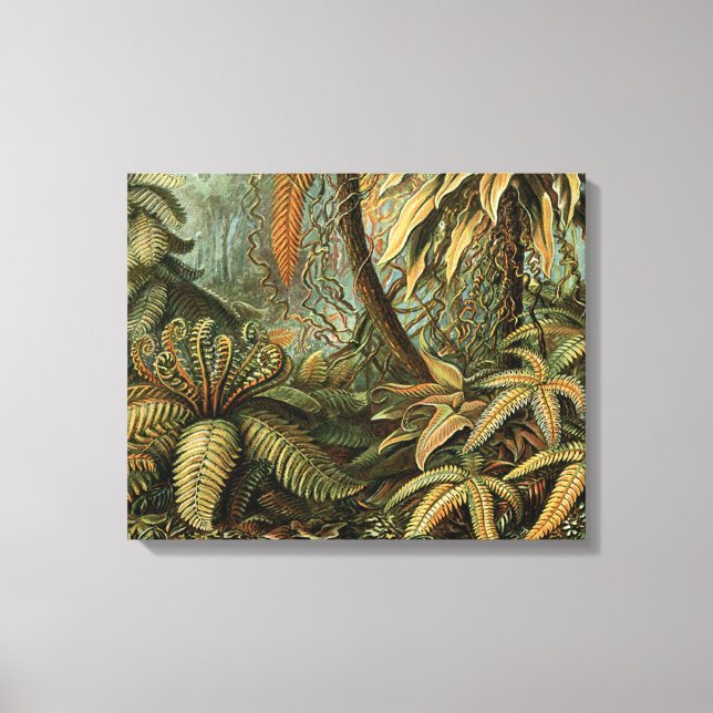 Lienzo Ferns Palm Tree Antique Botanica Ferns Art (Anverso)