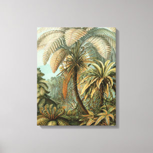 Lienzo Ferns Palm Tree Antique Botanica Ferns Art