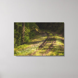 Lienzo Ferrocarril Abandonado En Un Bosque