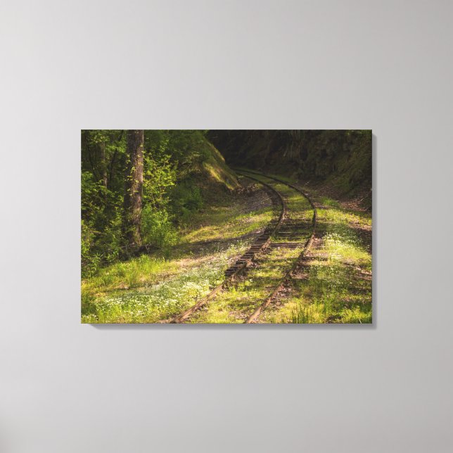 Lienzo Ferrocarril Abandonado En Un Bosque (Anverso)