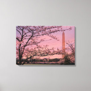 Lienzo Festival Washington Monument Cherry Blossom
