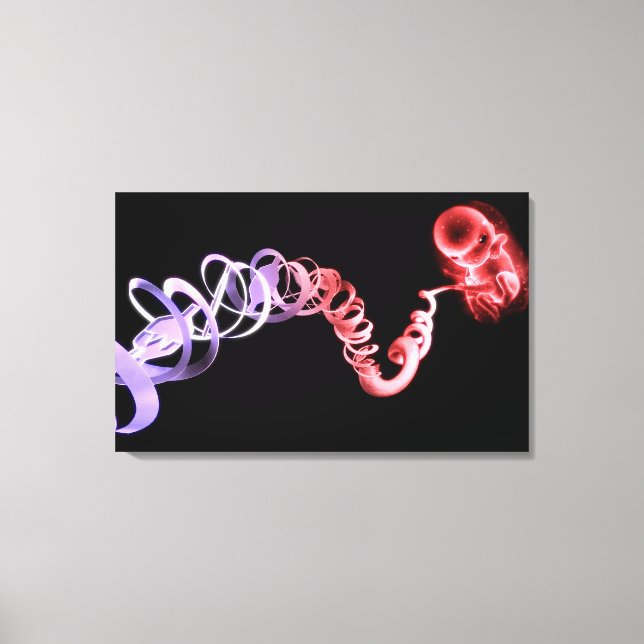Lienzo Feto con cordón umbilical hecho de hebras de ADN (Anverso)