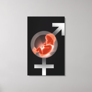 Lienzo Feto sobrepuesto sobre los símbolos masculinos y