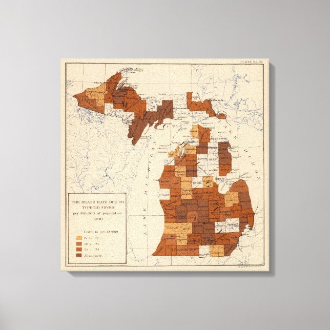 Lienzo Fiebre tifoidea Michigan (Anverso)