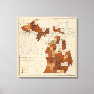 Lienzo Fiebre tifoidea Michigan