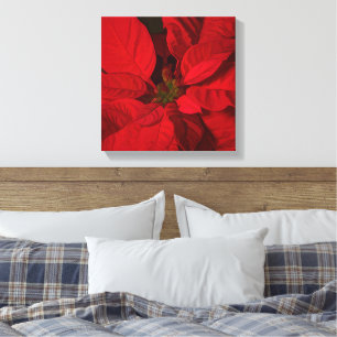 Lienzo Fiestas de Navidad de Poinsettia Roja