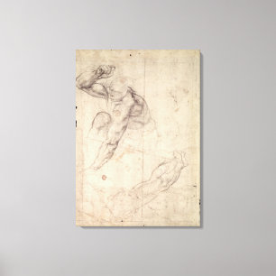 Lienzo Figura masculina estudio