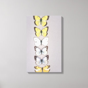 Lienzo Fila de mariposas