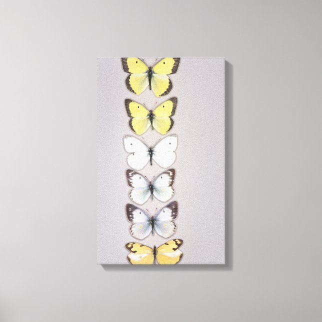 Lienzo Fila de mariposas (Anverso)