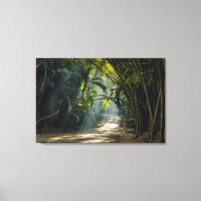 Lienzo Filas de Bambú (Anverso)