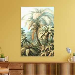 Lienzo Filicinae por Ernst Haeckel, plantas de helechos a