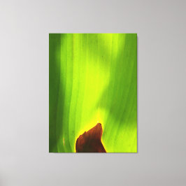 Lienzo Filo Ardiente de la Vida Hoja Verde Abstracta Natu