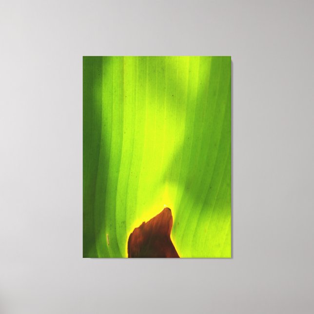 Lienzo Filo Ardiente de la Vida Hoja Verde Abstracta Natu (Anverso)