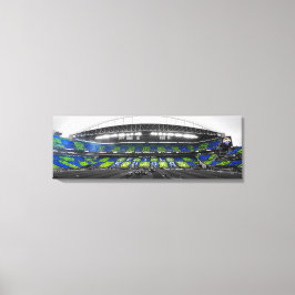 Lienzo Final Tifo de la Copa EBFG