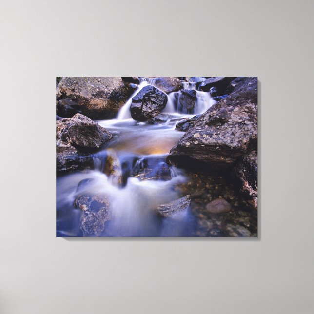 Lienzo Fish Creek Falls cerca de Steamboat Springs Colora (Anverso)