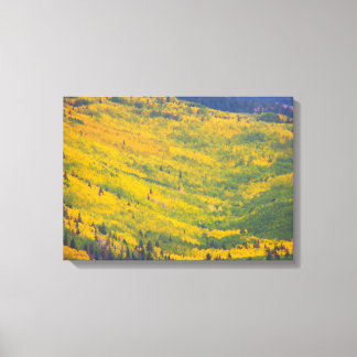 Lienzo Flagstaff Arizona Aspens