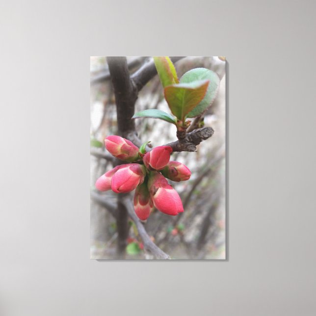 Lienzo flamante membrillo (Anverso)