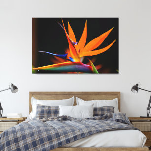 Lienzo Flamboyante pájaro de la flor del paraíso