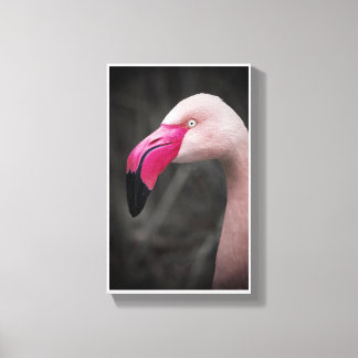 Lienzo Flamingo