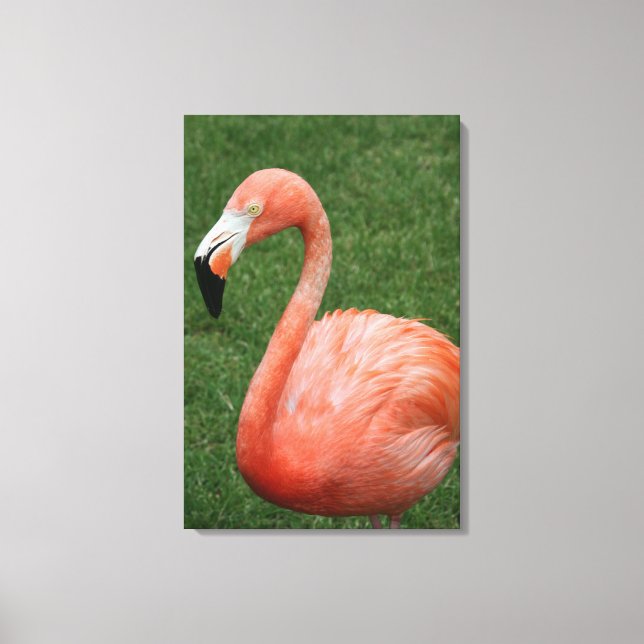 Lienzo Flamingo rosa (Anverso)