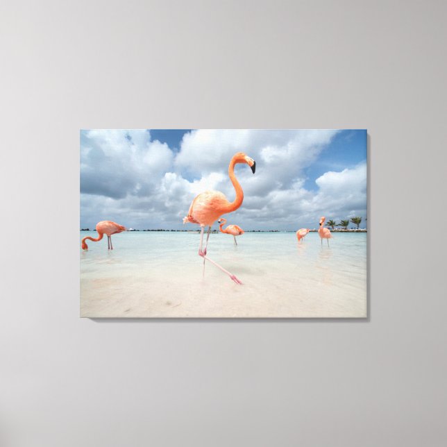 Lienzo Flamingos Beach Aruba (Anverso)