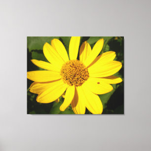 Lienzo Flor amarilla con hojas verdes