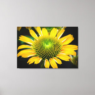 Lienzo Flor amarillo de sol
