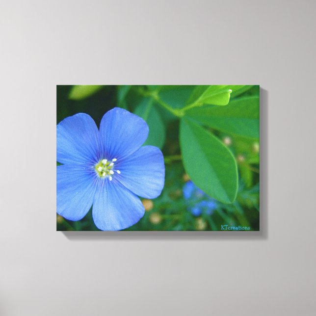 Lienzo Flor azul pequeña (Anverso)