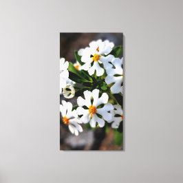 Lienzo flor blanca colección de flora de primavera