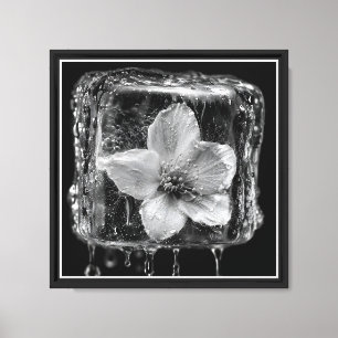 Lienzo Flor Congelada Derritiendo Hielo