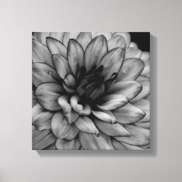 Lienzo Flor Dahlia