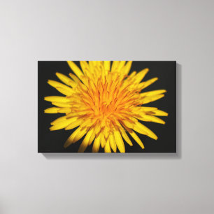 Lienzo Flor Dandelion 16,50x11 (41,25x27,5cm) waccn