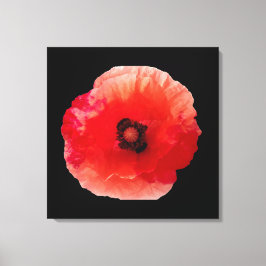 Lienzo Flor de amapola