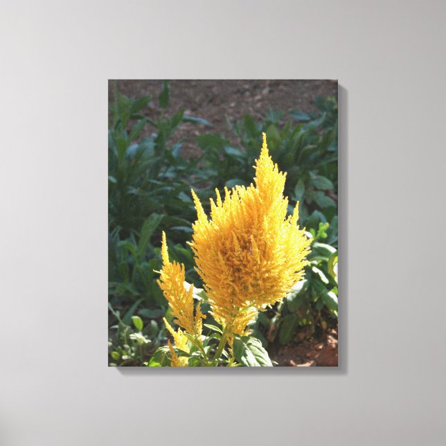 Lienzo Flor de Astilbe amarillo (Anverso)