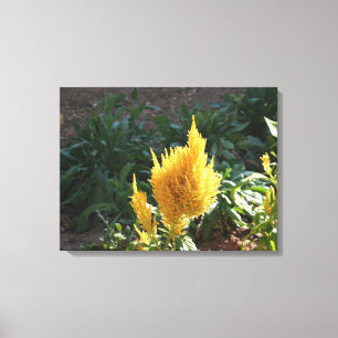 Lienzo Flor de Astilbe amarillo