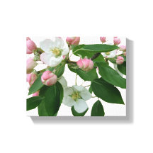 flor de cerezo rosa floral hermoso moderno