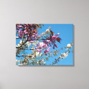 Lienzo flor de cerezo rosa y blanco de primavera