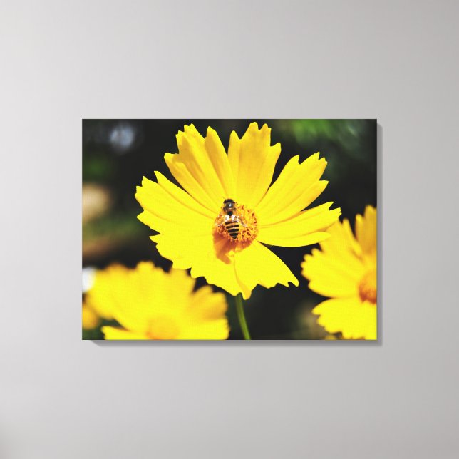 Lienzo Flor de cosmos amarilla y abeja (Anverso)
