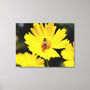 Lienzo Flor de cosmos amarilla y abeja