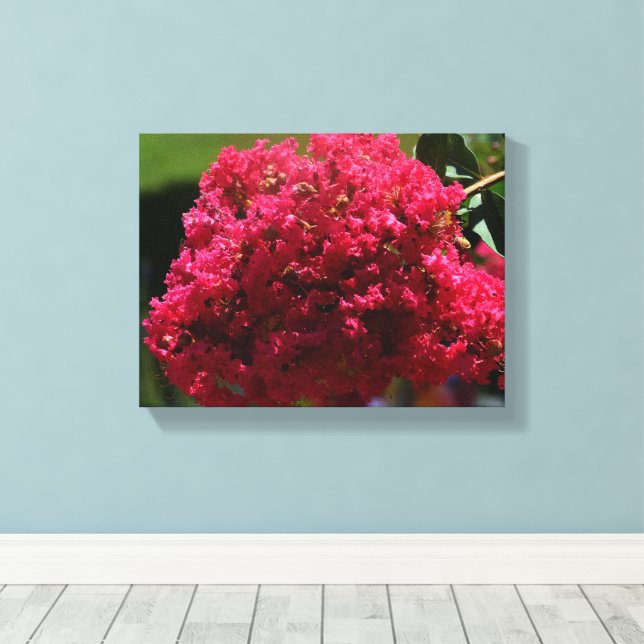 Lienzo flor de Crespón (Insitu (piso de madera))