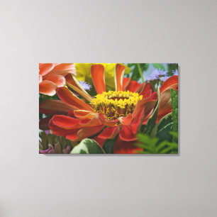 Lienzo flor de crisantemo