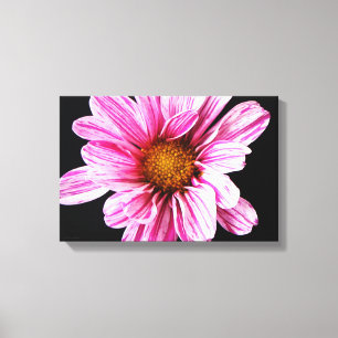 Lienzo Flor de crisantemo 16,50x11 (41,25x27,5cm)