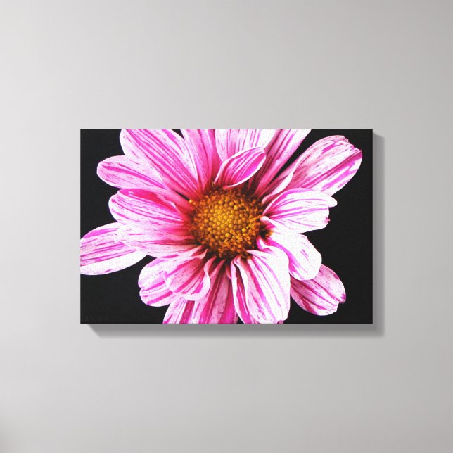 Lienzo Flor de crisantemo 16,50x11 (41,25x27,5cm) (Anverso)