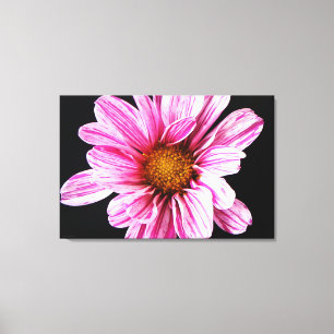 Lienzo Flor de crisantemo 36x24 (90x60cm)