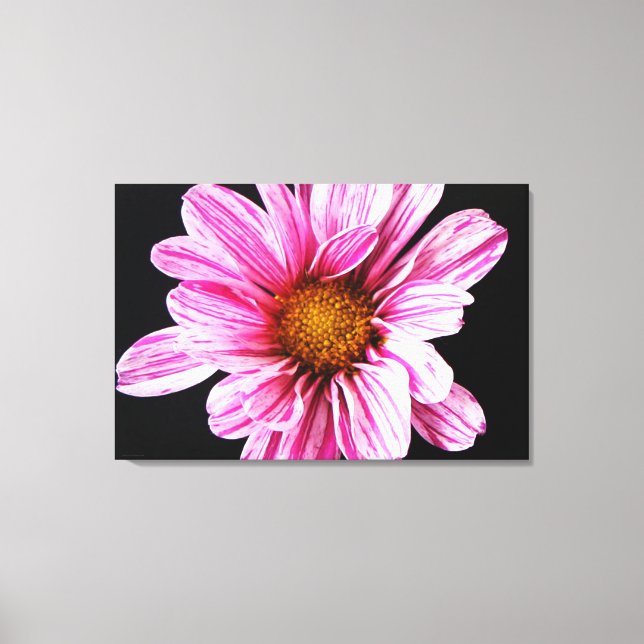 Lienzo Flor de crisantemo 36x24 (90x60cm) (Anverso)
