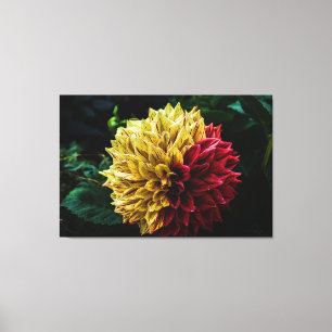 Lienzo Flor de Dahlia