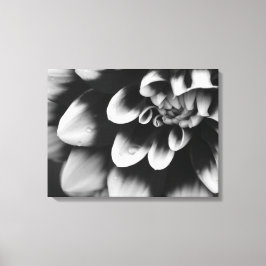 Lienzo Flor de Dahlia en blanco y negro